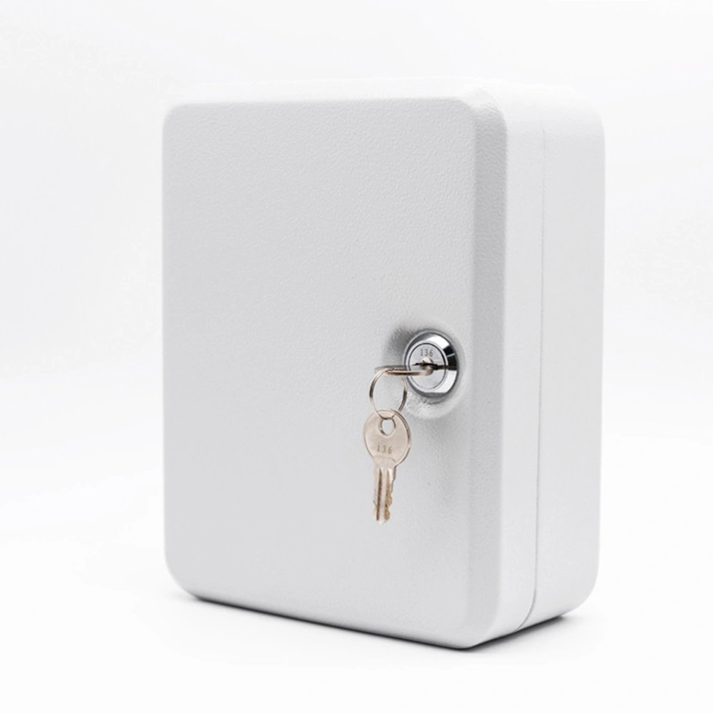 Wall Mount 20 Slots Key Organizer Key Cabinet with Key Tag Cabinet Key Organizer Steel Key Lock Box (White)