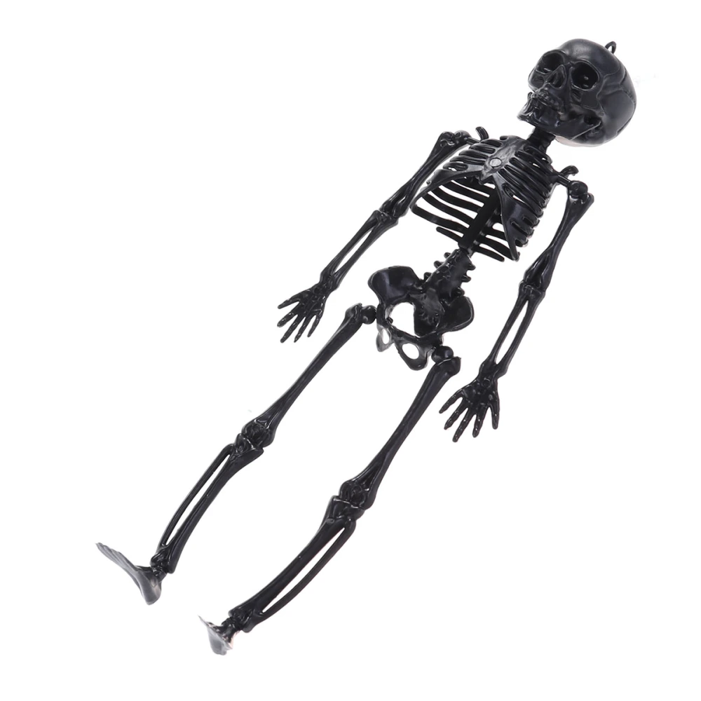 1pc Halloween Scary Skeleton Props Happy Halloween Spooky Skull Skeleton Frame Wall Hanging Decor(Black Skeleton)