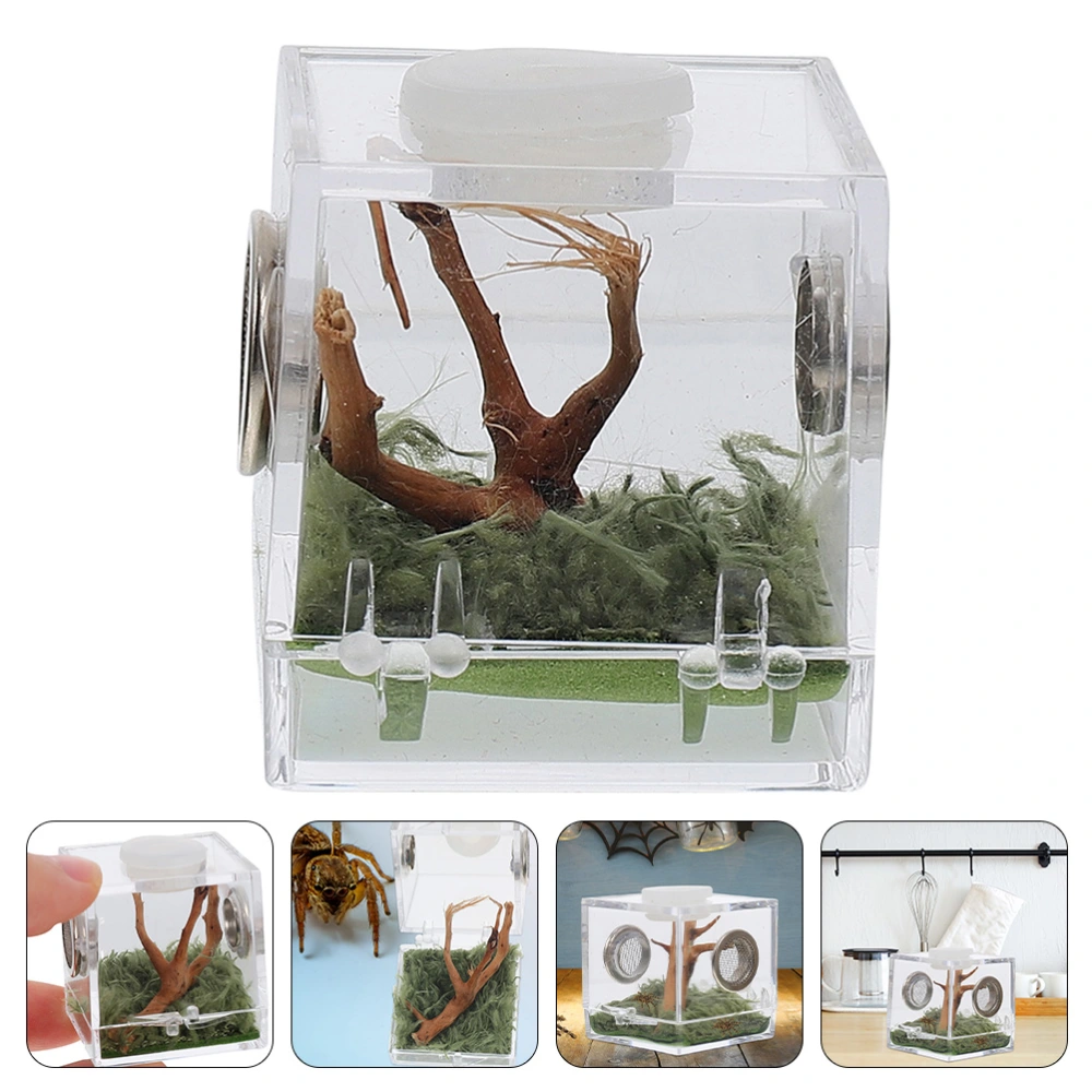 Spider Breeding Box Insect Breeding Box Acrylic Landscape Box Reptile Breeding Case