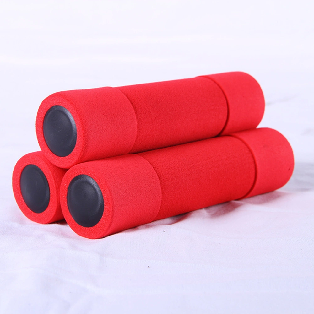 2PCS Dumbbell Exercise Supplies Equipment Weight Fitness Accessories for Women Female Red (Each 0.5kg)