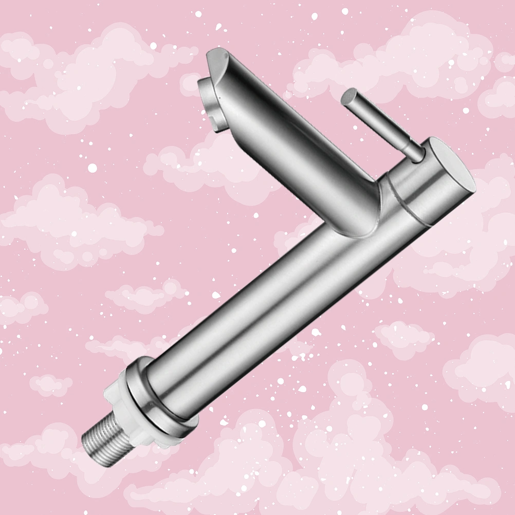 Stainless Steel Faucet Single Cold Basin Faucet Bathroom Metal Faucet Kitchen Faucet (Style 2)