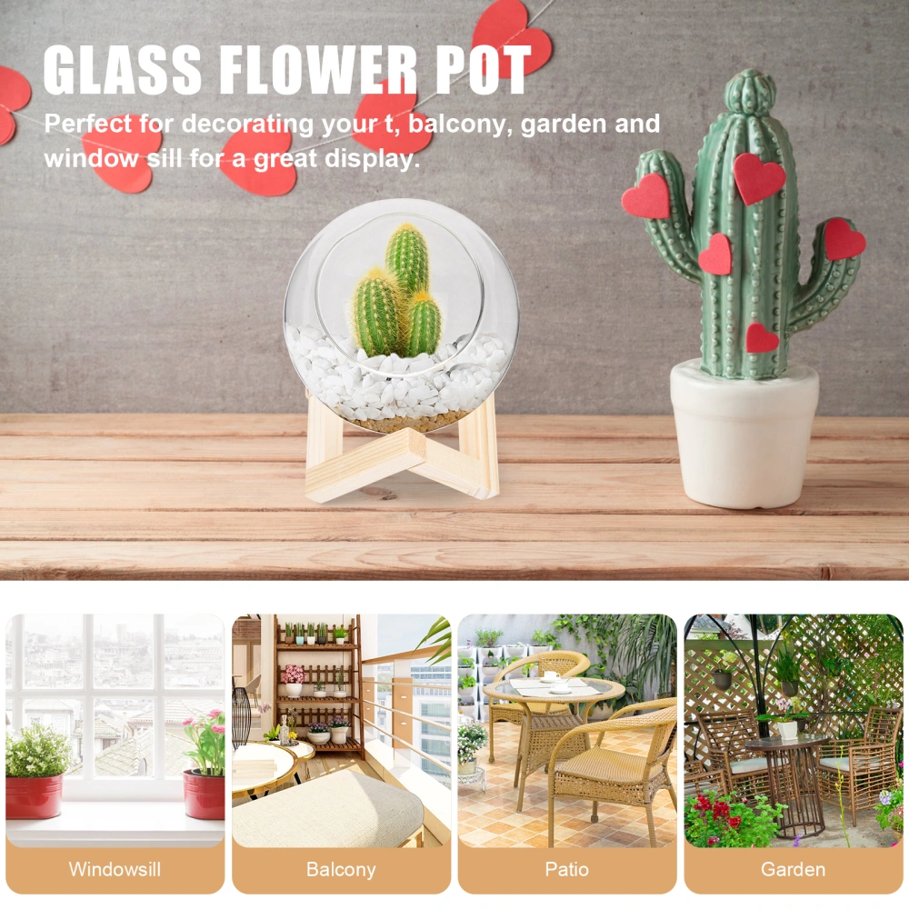 1 Set Glass Flower Pot Transparent Flower Pot Gardening Succulent Holder with Rack