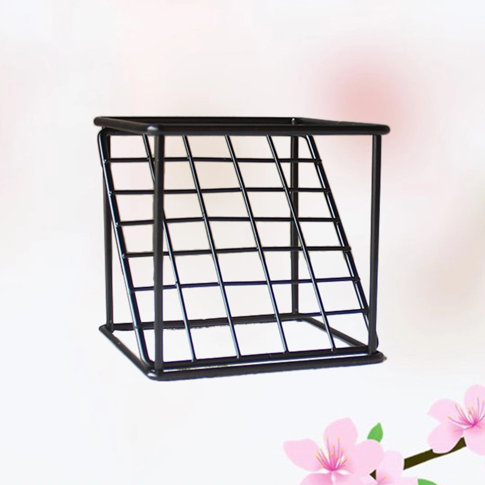 Flower Frame Wrought Iron Square Oblique Grid Line Vase Flower Stand Square Base Plant Display Rack for Office Home Black