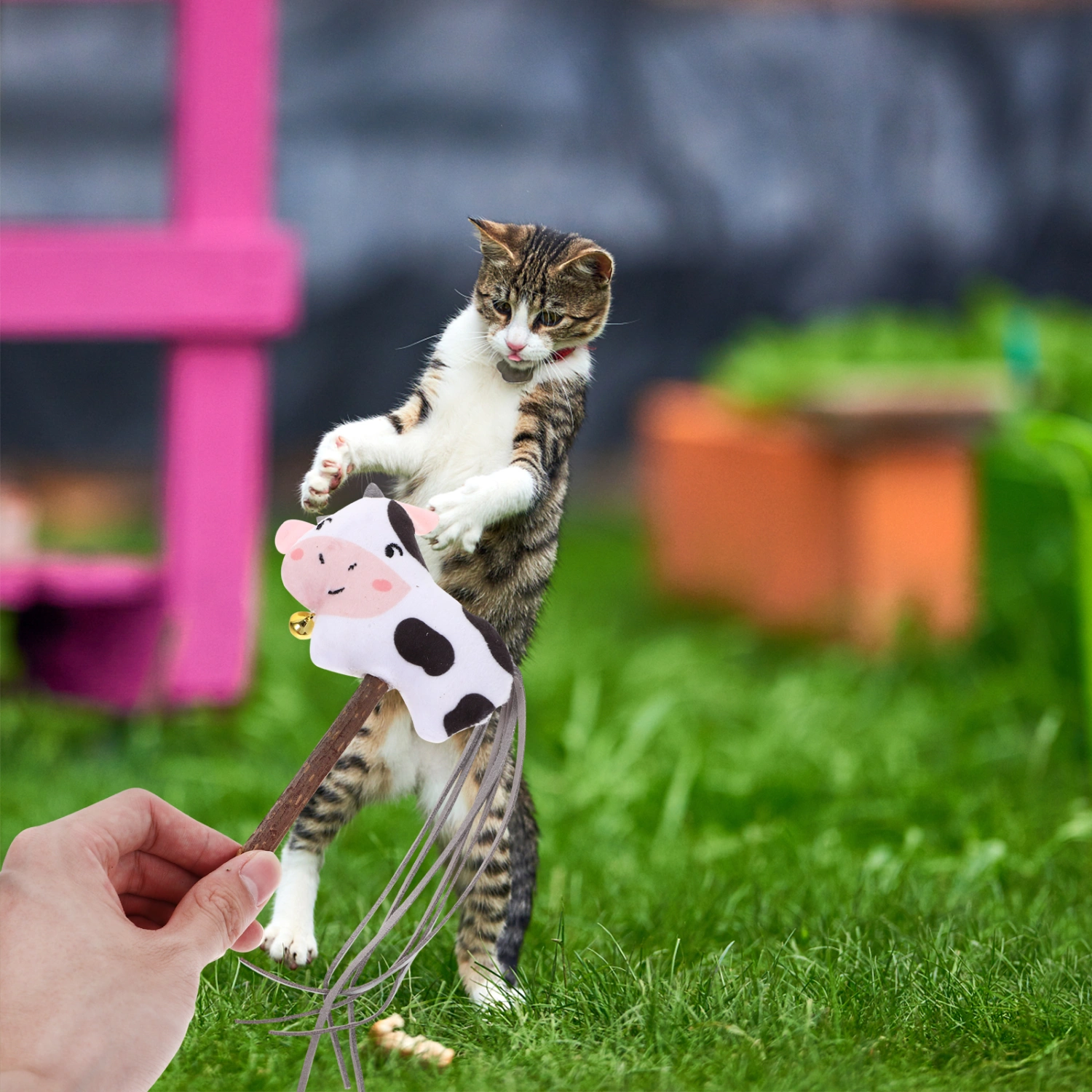  Cat Wand Catnip Toy Cat Teaser Stick Interactive Cat Toy Wooden Handle Catnip Stuffed Animal Cat Chew Toy