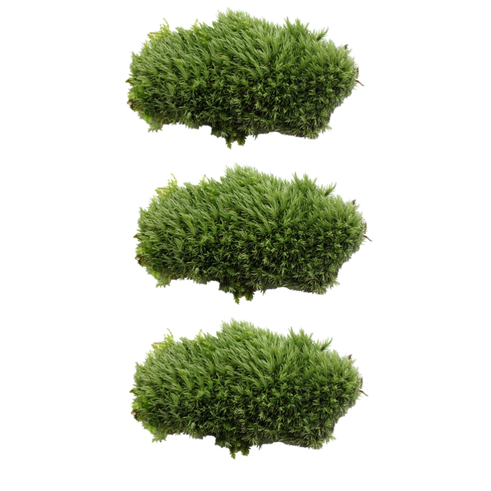 3 Pcs Artificial Plastic Underwater Plant Green Moss for Aquarium Fish Tank Decorations