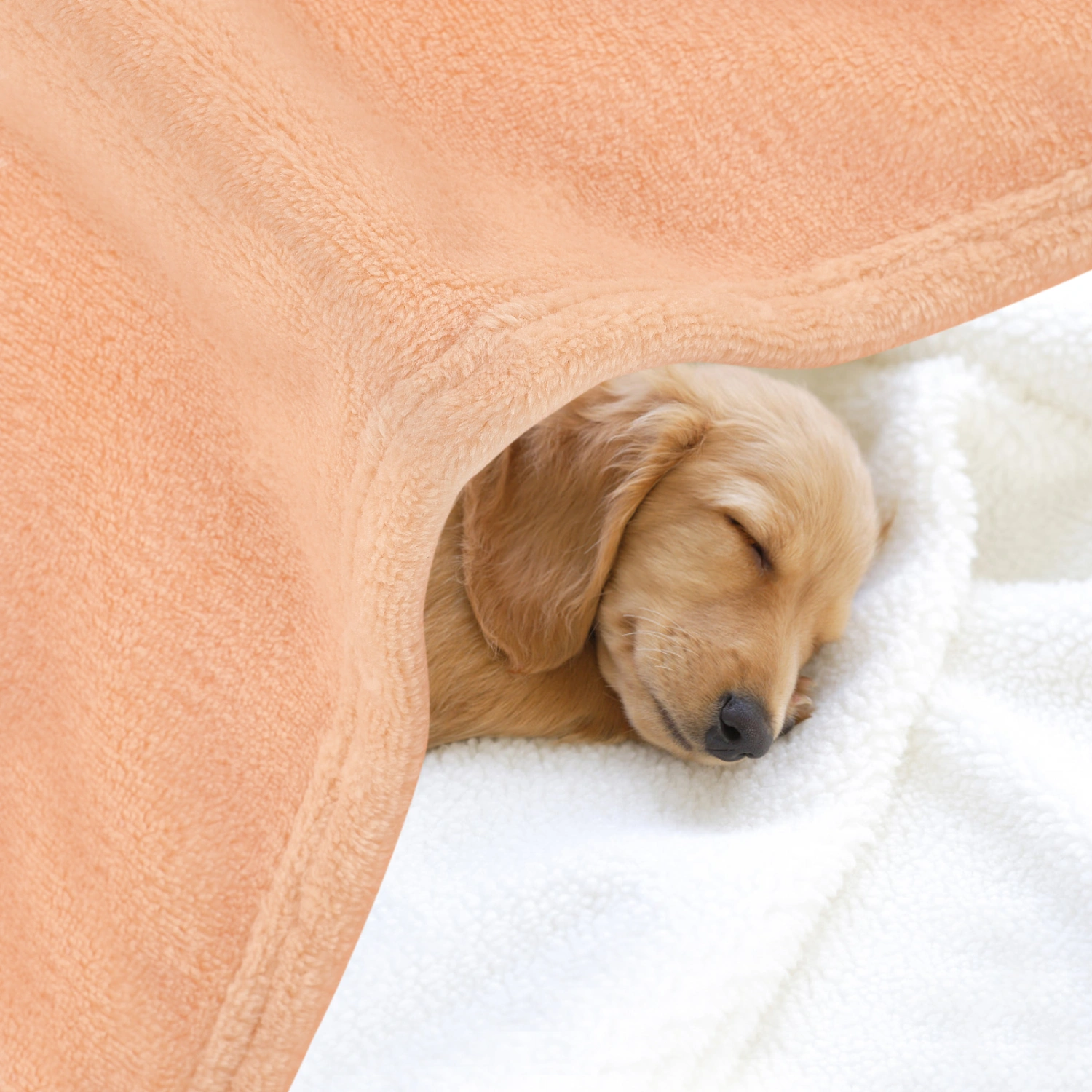 Gorgeous Flannel Fleece Pet Blanket Cozy Towel Solid Color Pet Blanket(Camel)