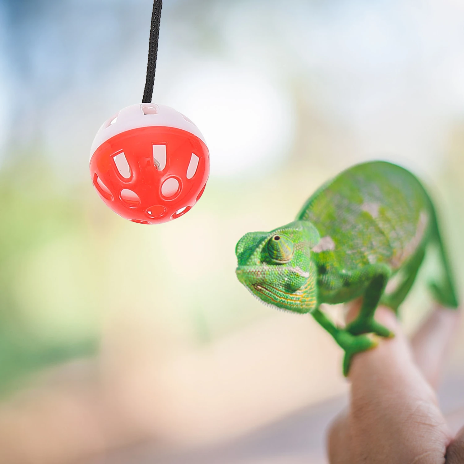 4Pcs Bearded Dragon Toys Lizard Bell Toys Reptile Bell Balls with Suction Cup and Rope