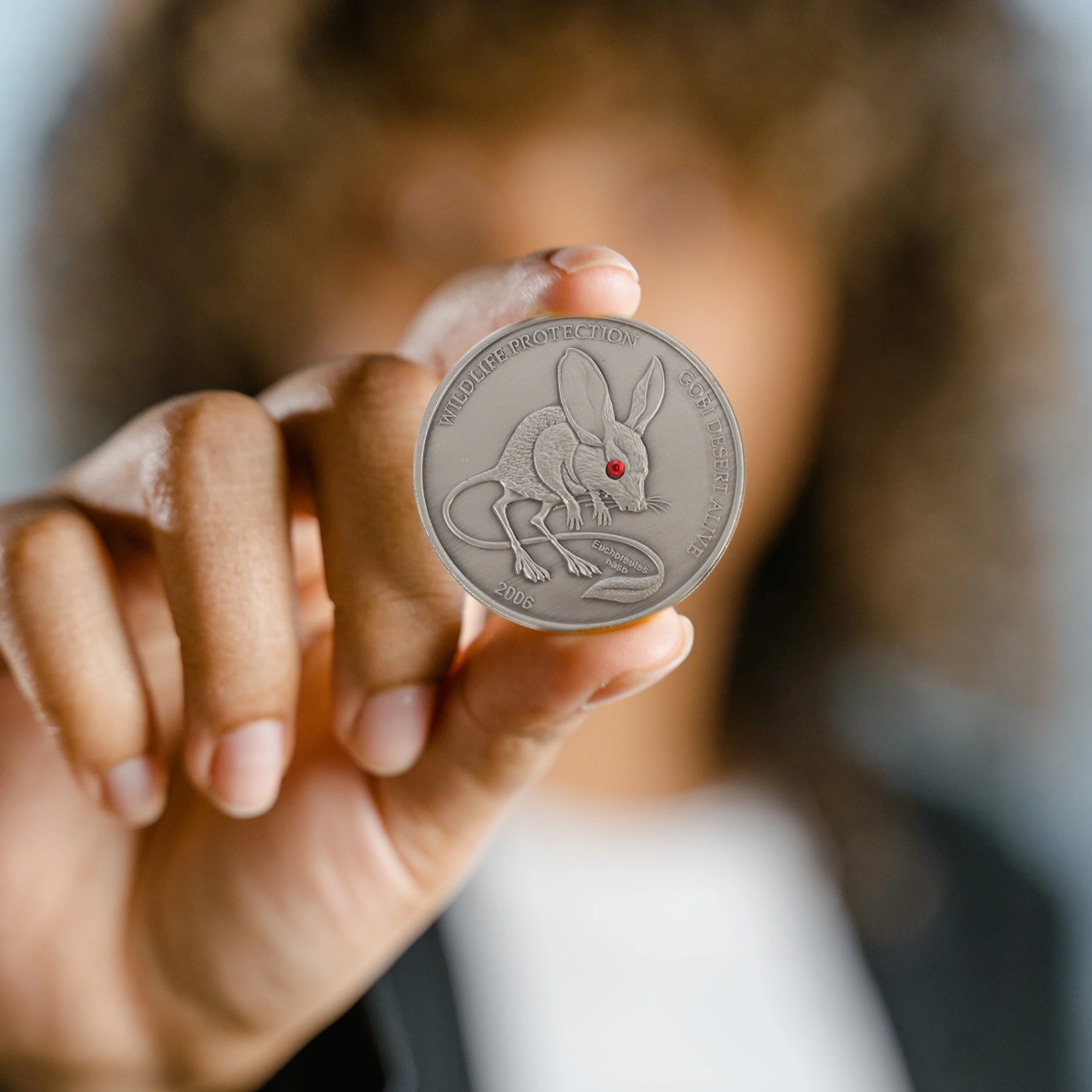 Iron Commemorative Coin Collection Animal Pattern Souvenir Home Decoration