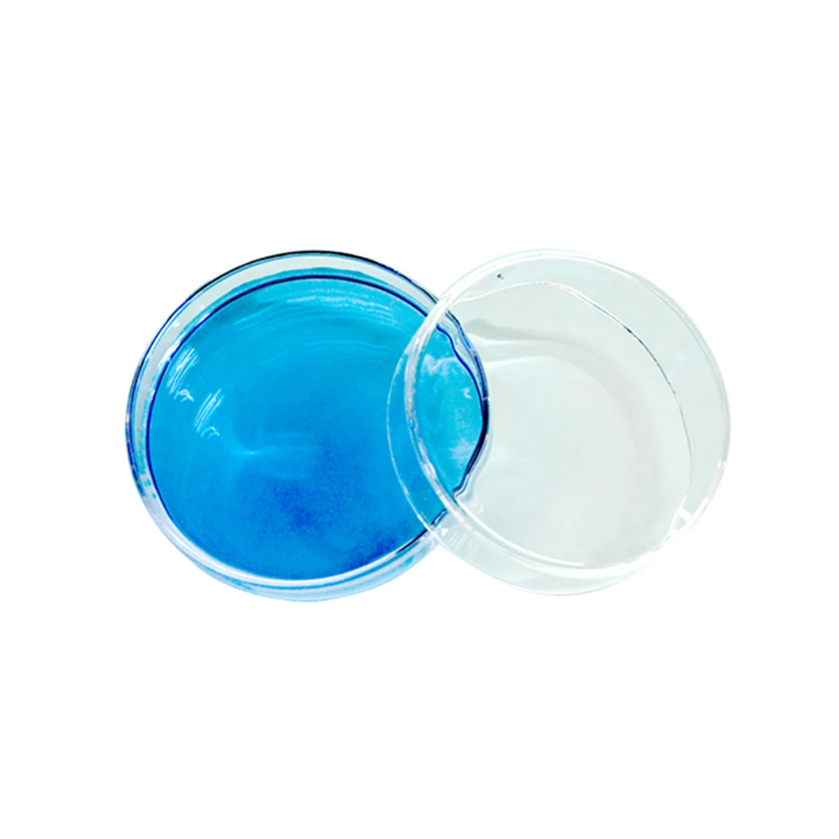 10pcs 70mm Plastic Petri Dishes Sterile Bacterial Culture Dish with Lid