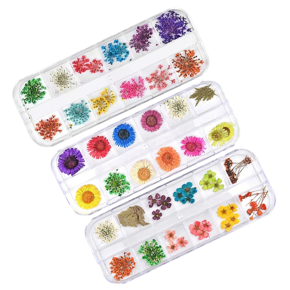 3 Boxes Applique Dried Flower Nail Art Sticker 3D Dried Plants Nail Tip Decal Manicure Decoration for Women Girl (1 box of Five Petal Flowers + 1 box of Small Daisies + 1 box of Snowdrop Flowers )