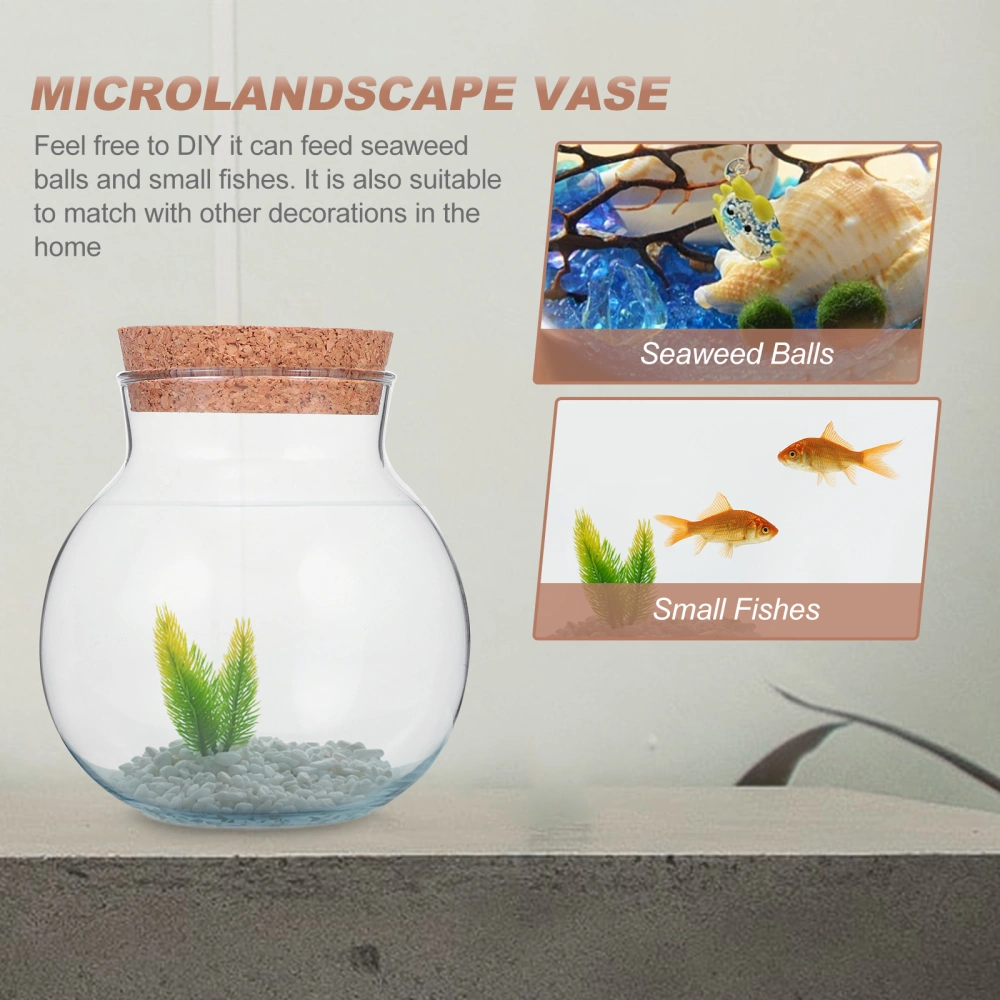 1Pc Creative Microlandscape Vase Small Fish Tank Decorative Glass Vase