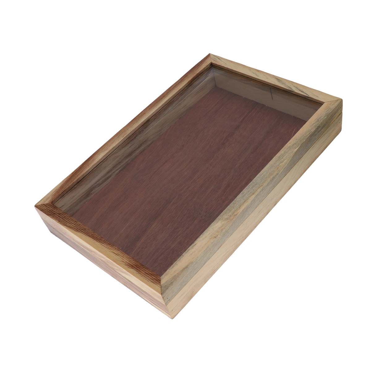 Wooden Insect Box Plant Insect Specimen Display Case Education Tool
