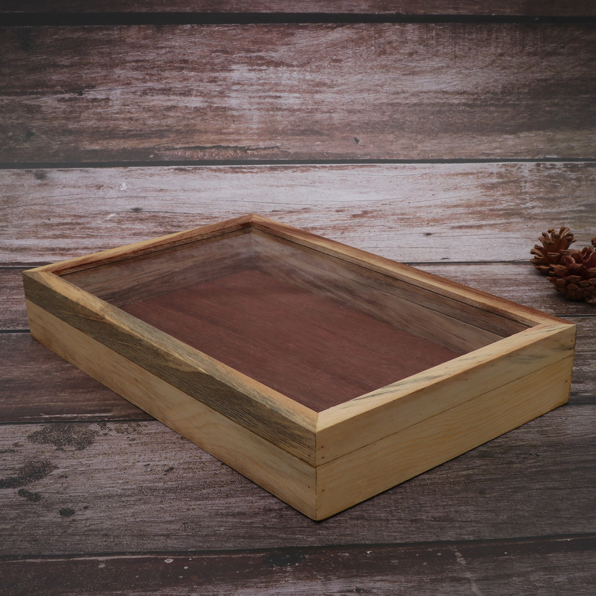Wooden Insect Box Plant Insect Specimen Display Case Education Tool