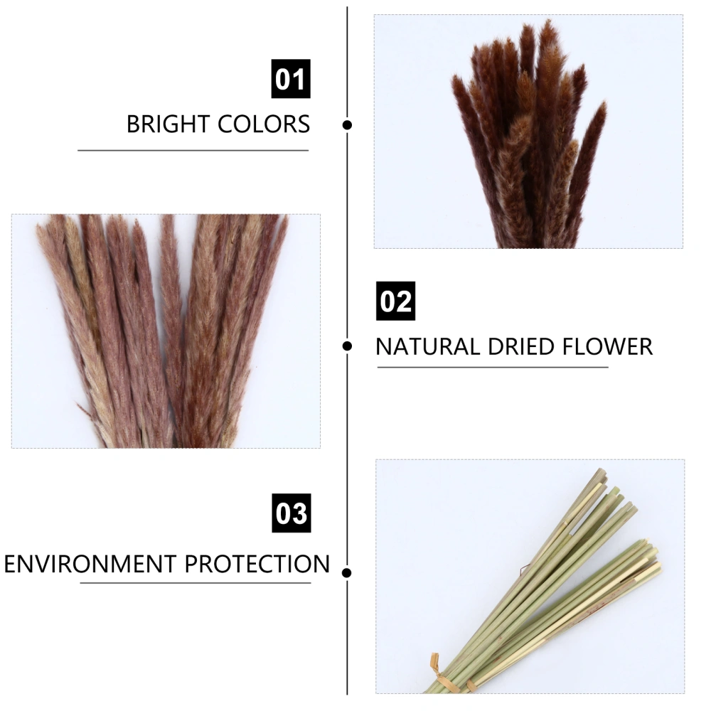 30pcs Pastoral Style Dried Reed Bouquet Creative Dried Flowers Bunch Decor