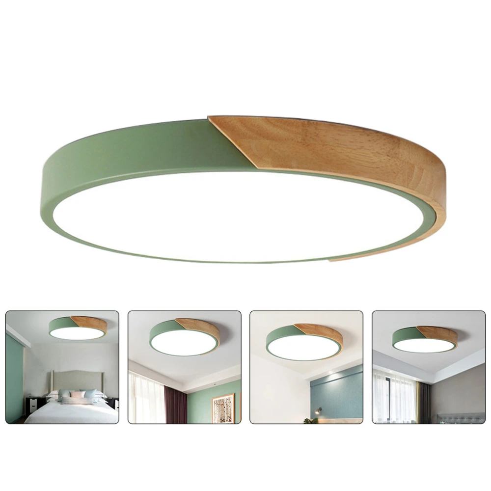 1pc Ceiling Lamp Simple Home Restaurant Light Decorative Lamp for Home (Green)