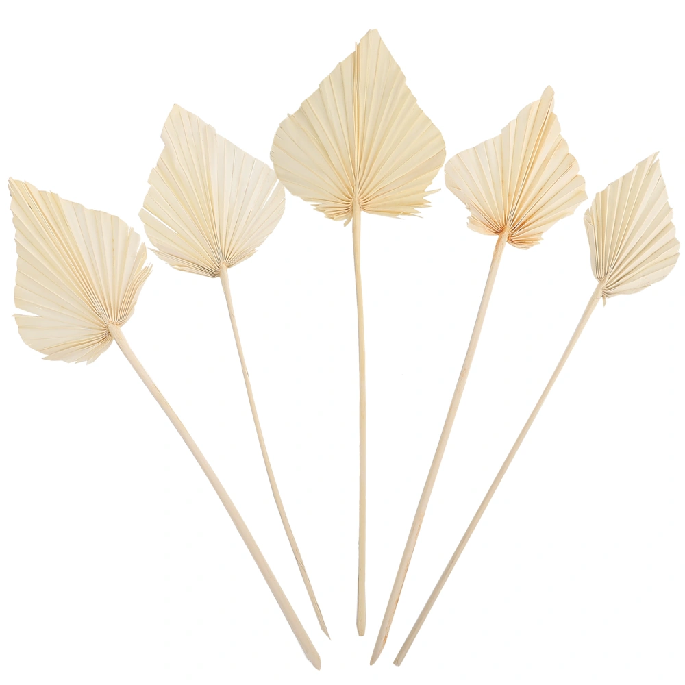 5pcs Dried Palm Leaf Decors Party Layout Leaf Ornaments Wedding Party Decors