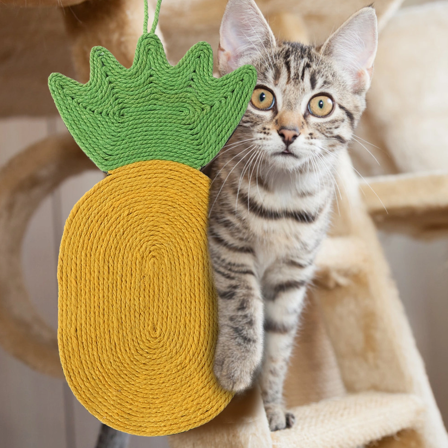 Scratch-Resistant Kitten Toy Indoor Cat Scratching Toy Hanging Scratching Mat