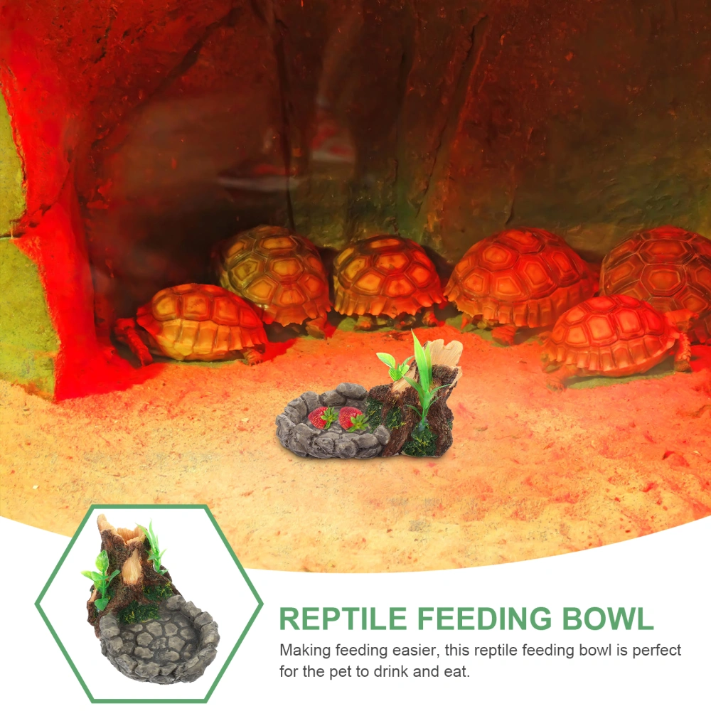 Terrarium Food Basin Rocks Style Water Holder Indoor Reptile Feeding Supplies Terrarium Accessories