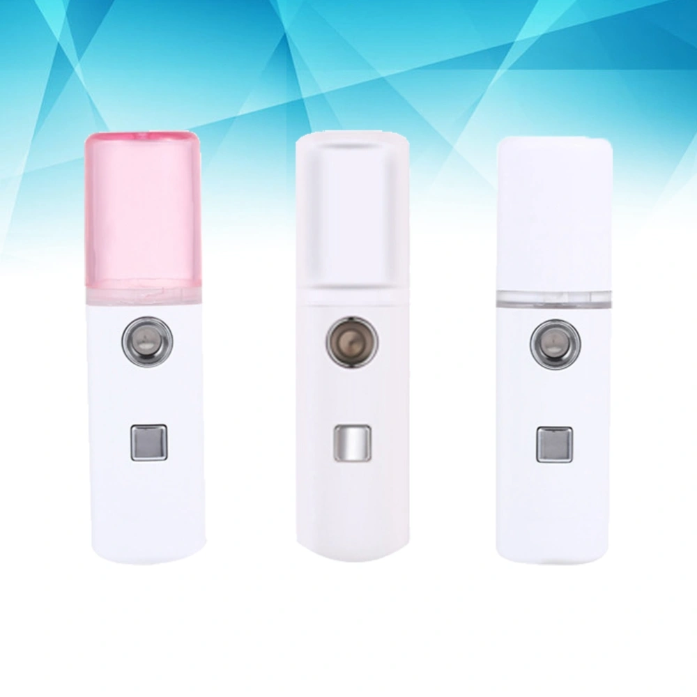 Mini Portable Pore Facial Steamer Nano Mist Cool Face Sprayer Moisture for Skin Care (White)