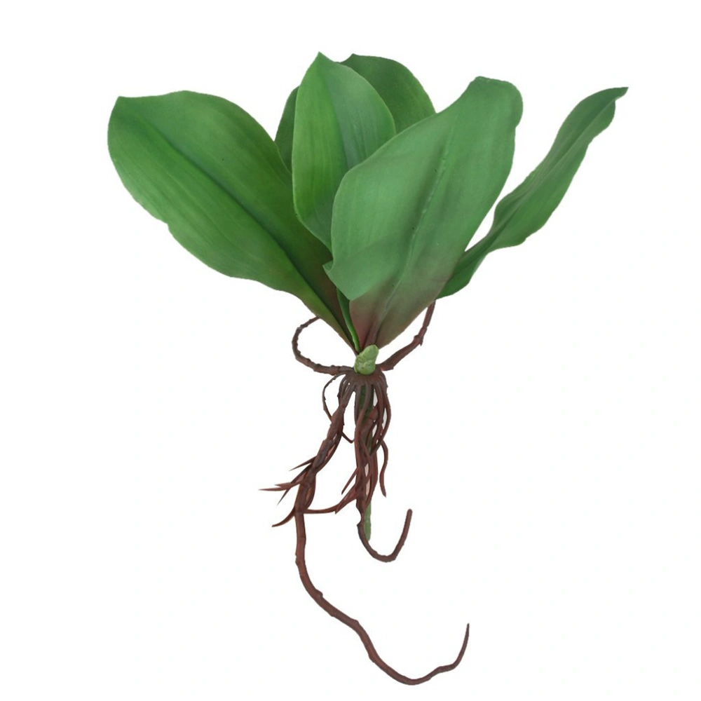 Branch of Phalaenopsis Orchid Leaf for Home Office Decoration (Green)