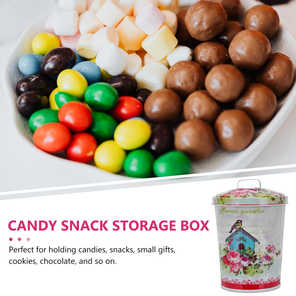 1Pc Iron Candy Box Festival Party Present Packing Box Large Capacity Storage Box