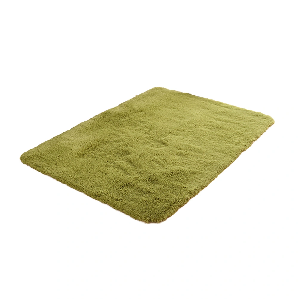 Modern Rugs Living Room Carpet Bedroom Rug for Children Play Solid Home Decorator Floor Mat Carpet 40x60cm (Grass Green)