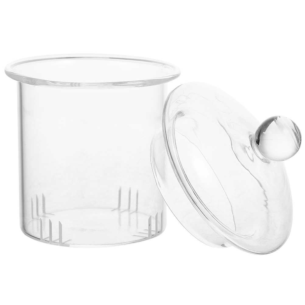 1 Set of Removable Tea Strainer with Lid Glass Tea Filter Lidded Tea Steeper