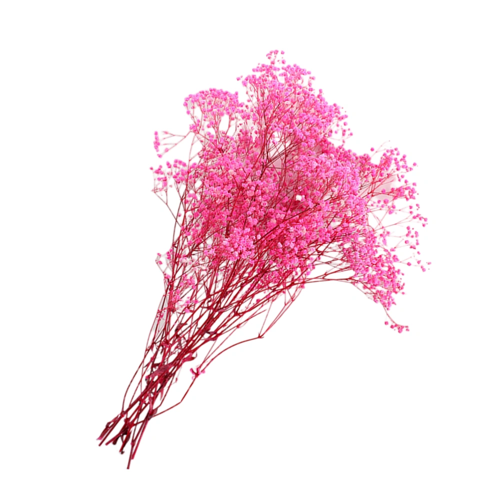 Dried Flower Bouquet Fashion Gypsophila Decor Dried Gypsophila Bouquet Gypsophila Preserved Flower (Pink)