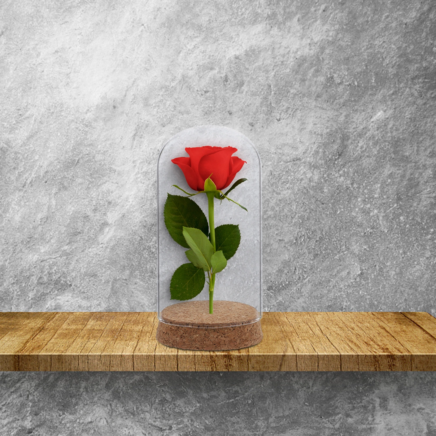 Preserved Fresh Flower Glass Cover Preserved Flower Adornment Cover with Cork