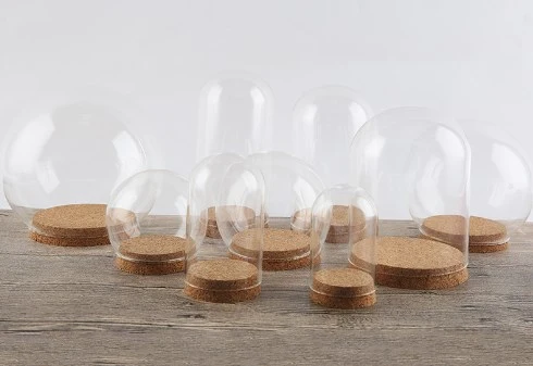 Preserved Fresh Flower Glass Cover Preserved Flower Adornment Cover with Cork