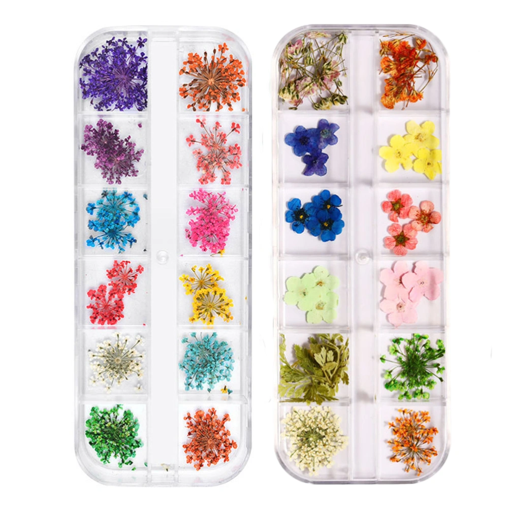 2 Boxes Japanese Style Nail Dried Flowers 12 Colors DIY Nail Decals Flower Nail Art Stickers Decoration