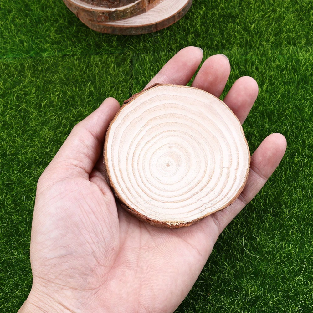 10Pcs 1cm Thickness Pine Wood Slices Unfinished Natural Round Wood Slices Circles with Tree Bark Log Discs for DIY Crafts