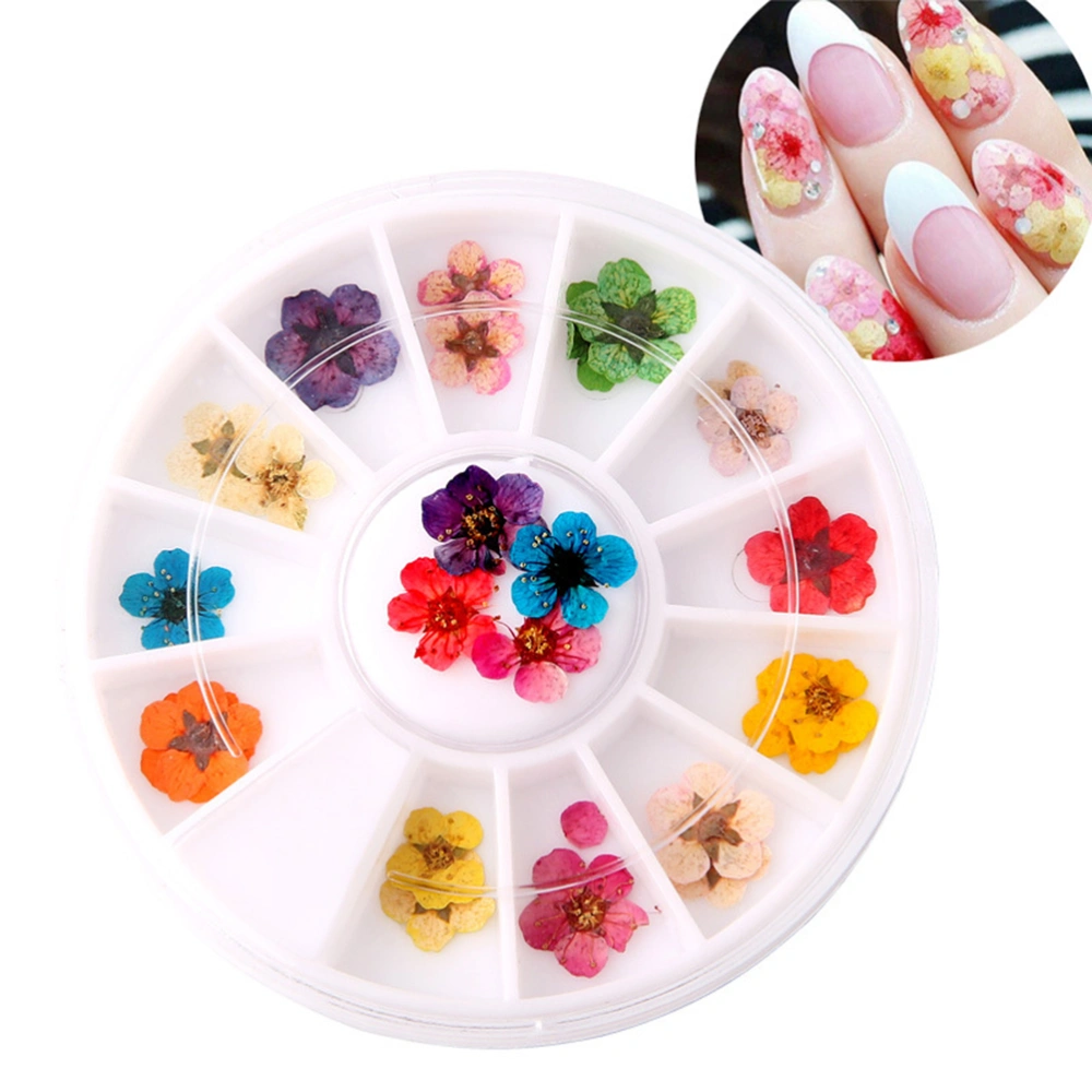 1 Box Nail Art Decorations Dried Flower Decals DIY Nail Ornaments Manicure Supplies for Home Shop