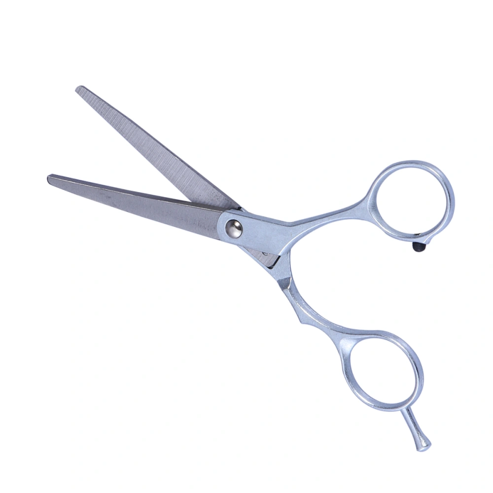 Hair Cutting Hair Cutting Scissors Professional Barber Tool Salon Hairdressing for Woman Man (Silver)