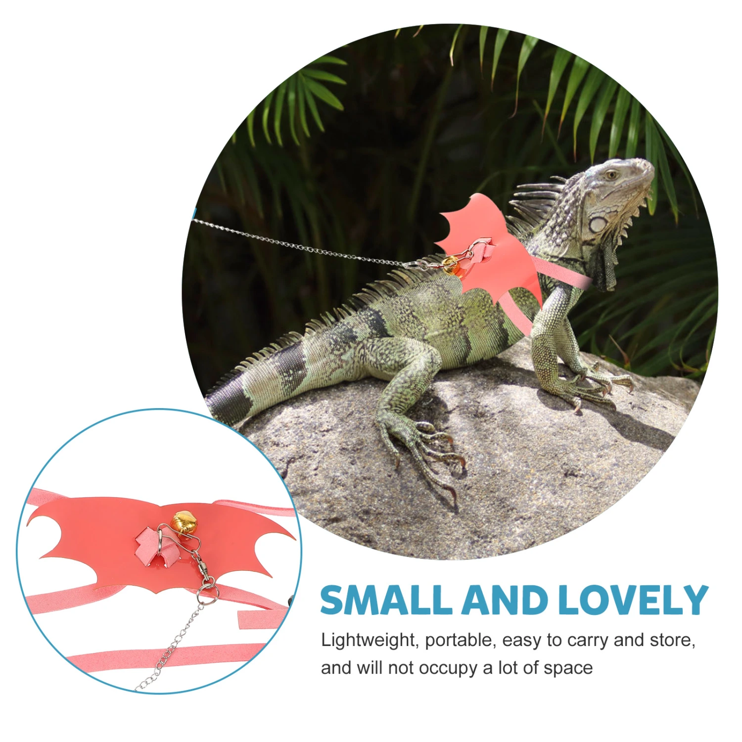 Lizard Leading Rope Outdoor Lizard Leash Lizard Train Harness Reptile Pet Leash