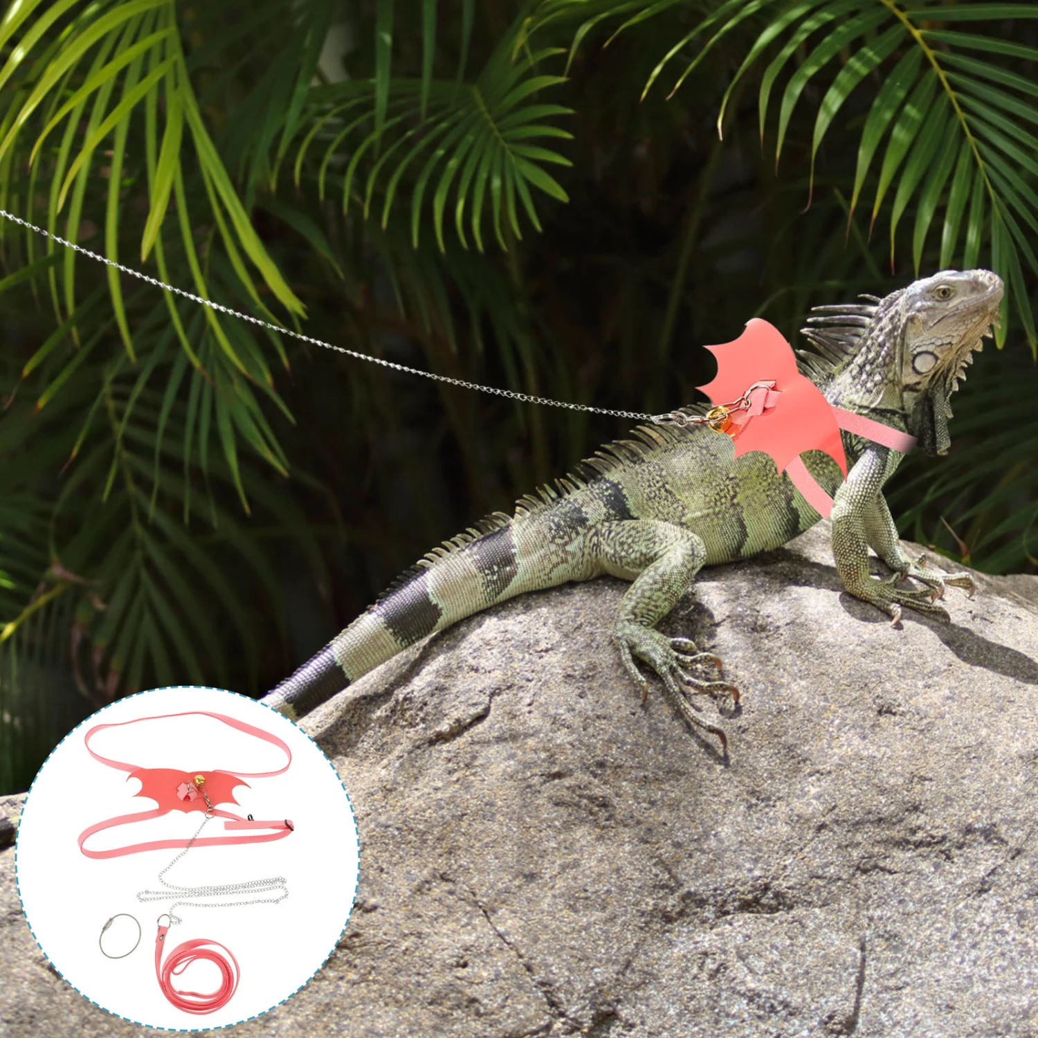 Lizard Leading Rope Outdoor Lizard Leash Lizard Train Harness Reptile Pet Leash