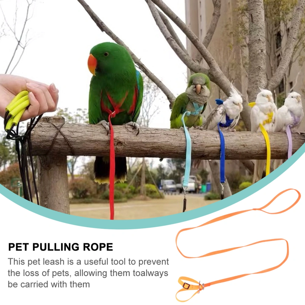 1PC Pet Pulling Rope Bird Hamster Turtle Lizard Leash for Home Outdoor Party