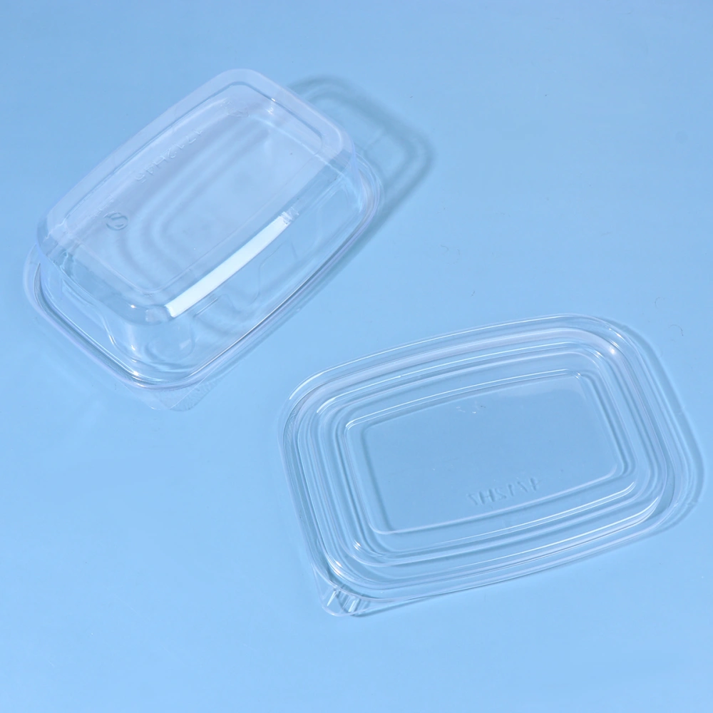 10pcs Disposable Plastic Boxes with Cover Portable Fruits Case One-off Takeout Food Containers for Home Shop (Transparent)