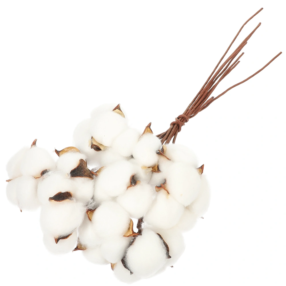 1 Set Dried Cotton Balls White Cotton Branch Picks DIY Dry Cotton Bouquet