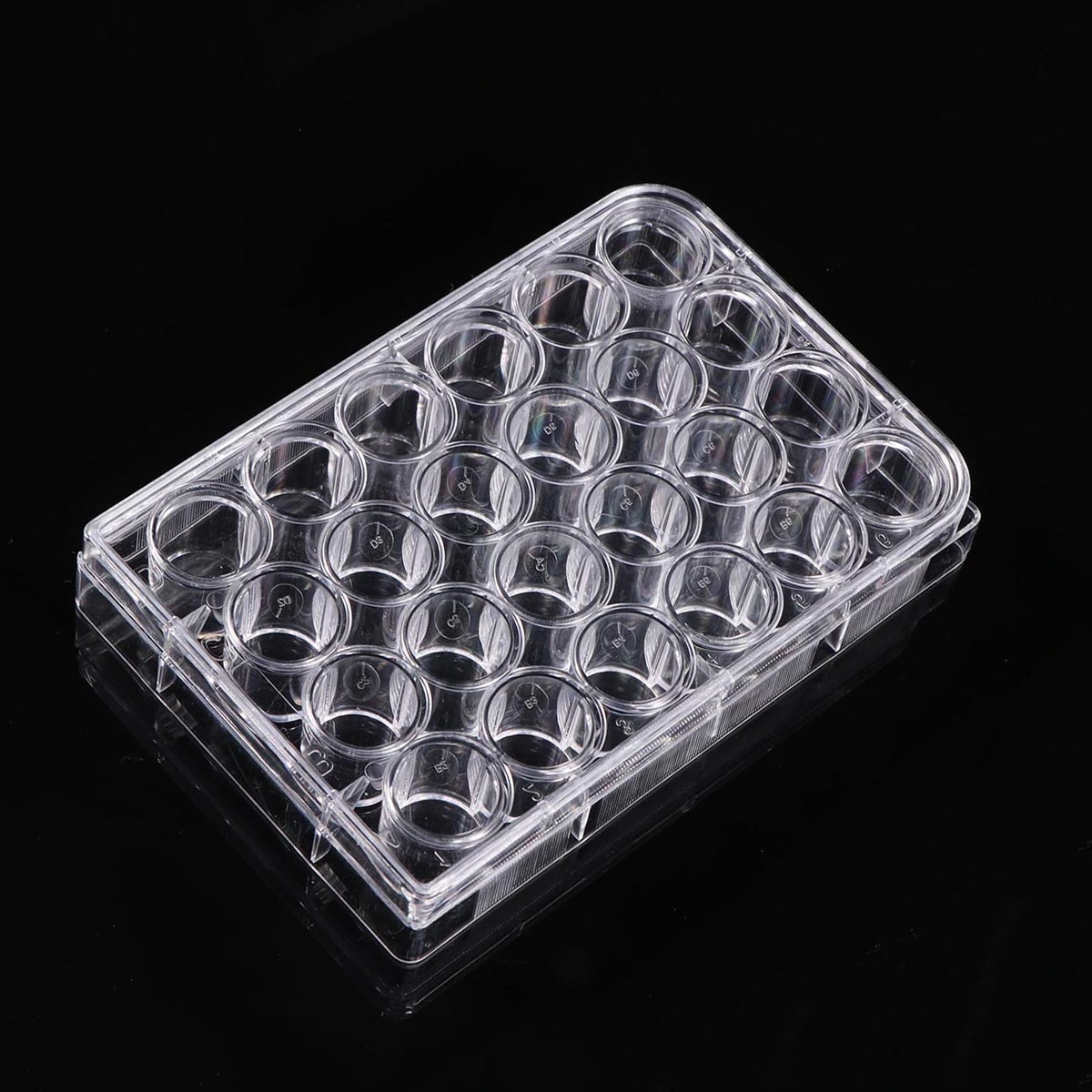 Plastic Premium Culture Plate 24 Well Cell Culture Plate for
