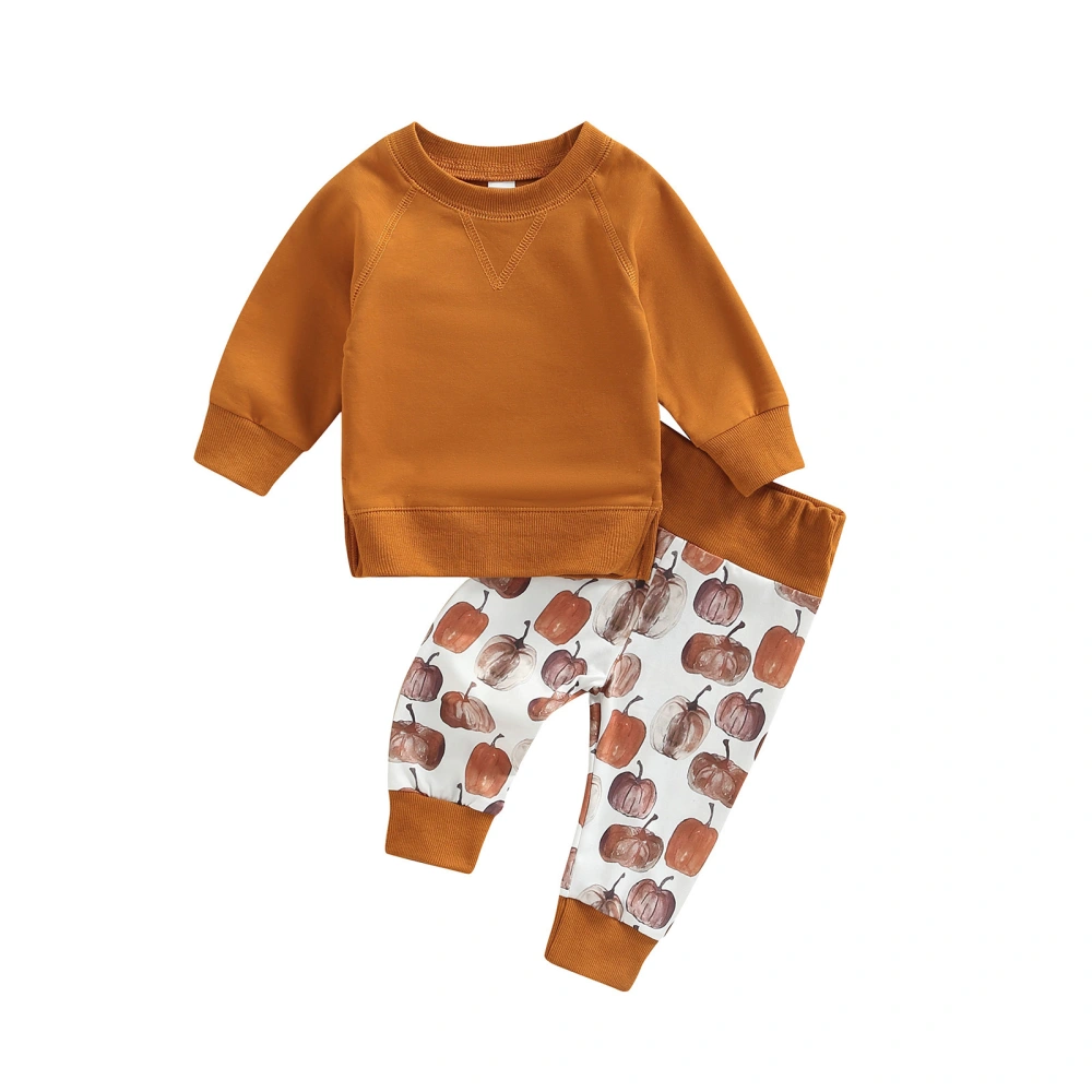 Toddler’s Solid Color Long Sleeve Tops and Pumpkin Print Trousers Set