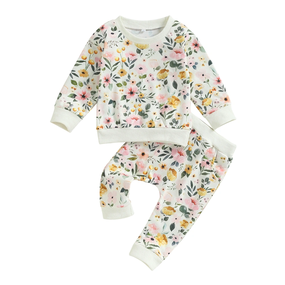 Baby Girl Fall Outfit Flower Print Sweatshirts Elastic Waist Pants