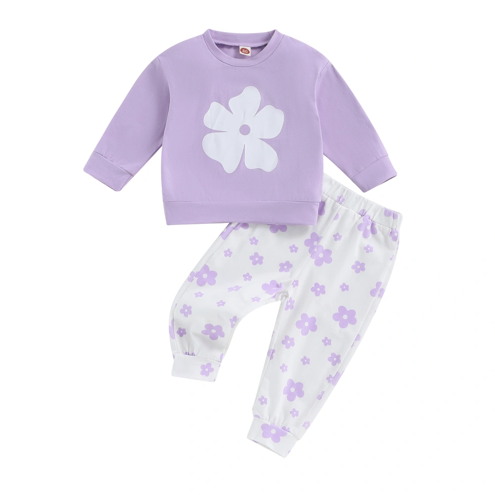 Toddler Girls Fall 2 Piece Outfit Floral Print Sweatshirt and Pants 