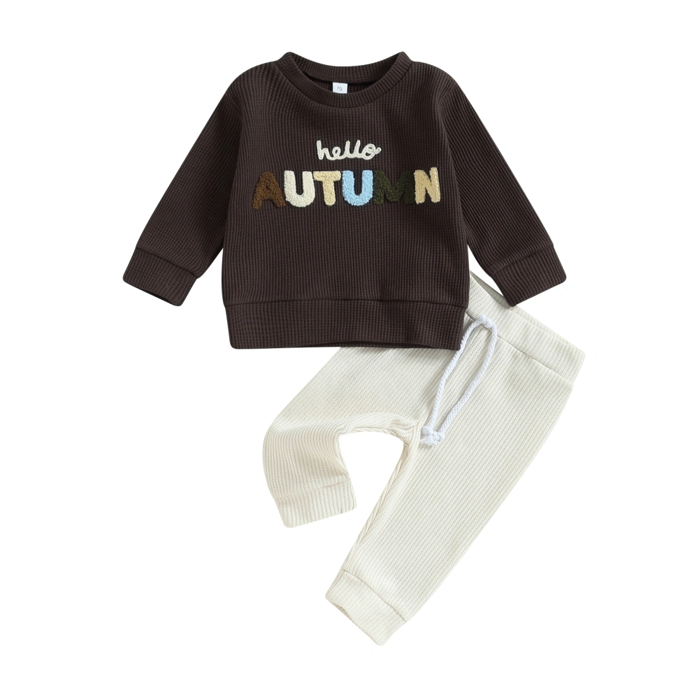 Baby Boys Track Suit Letter Embroidery Waffle Sweatshirt and Pants