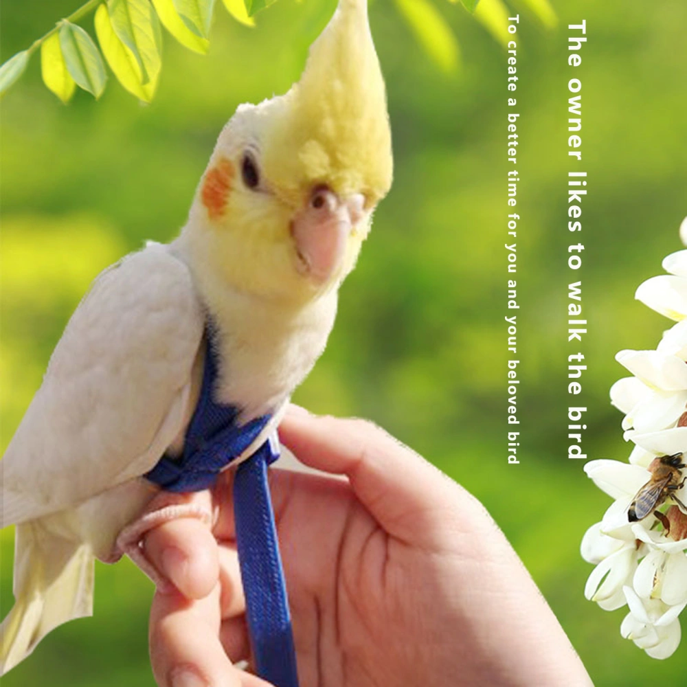 Pet Parrot Bird Harness and Leash Adjustable Training Design Anti-Bite