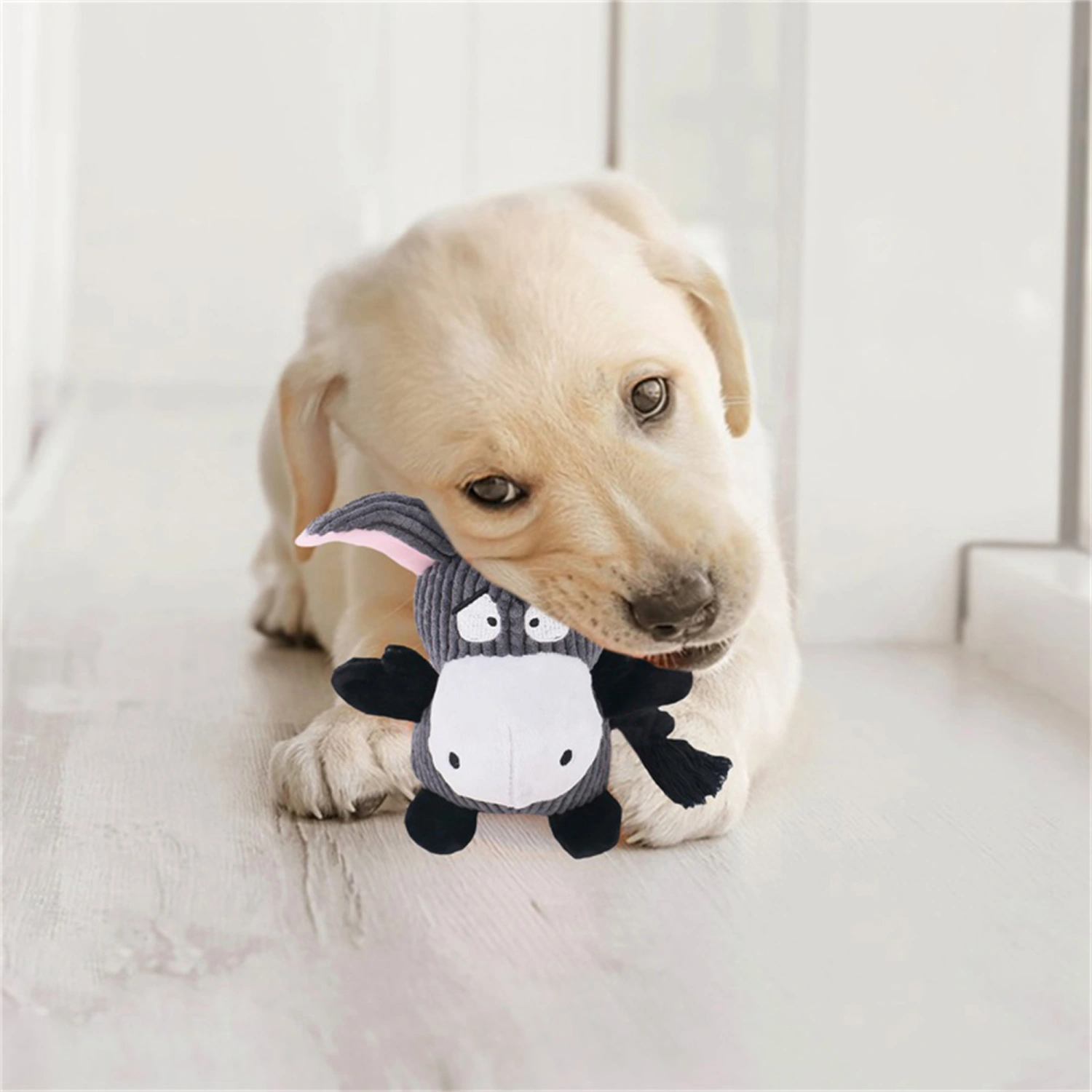Dog Plush Toys, Squeak Dog Toys Suitable for Medium and Large Chewers