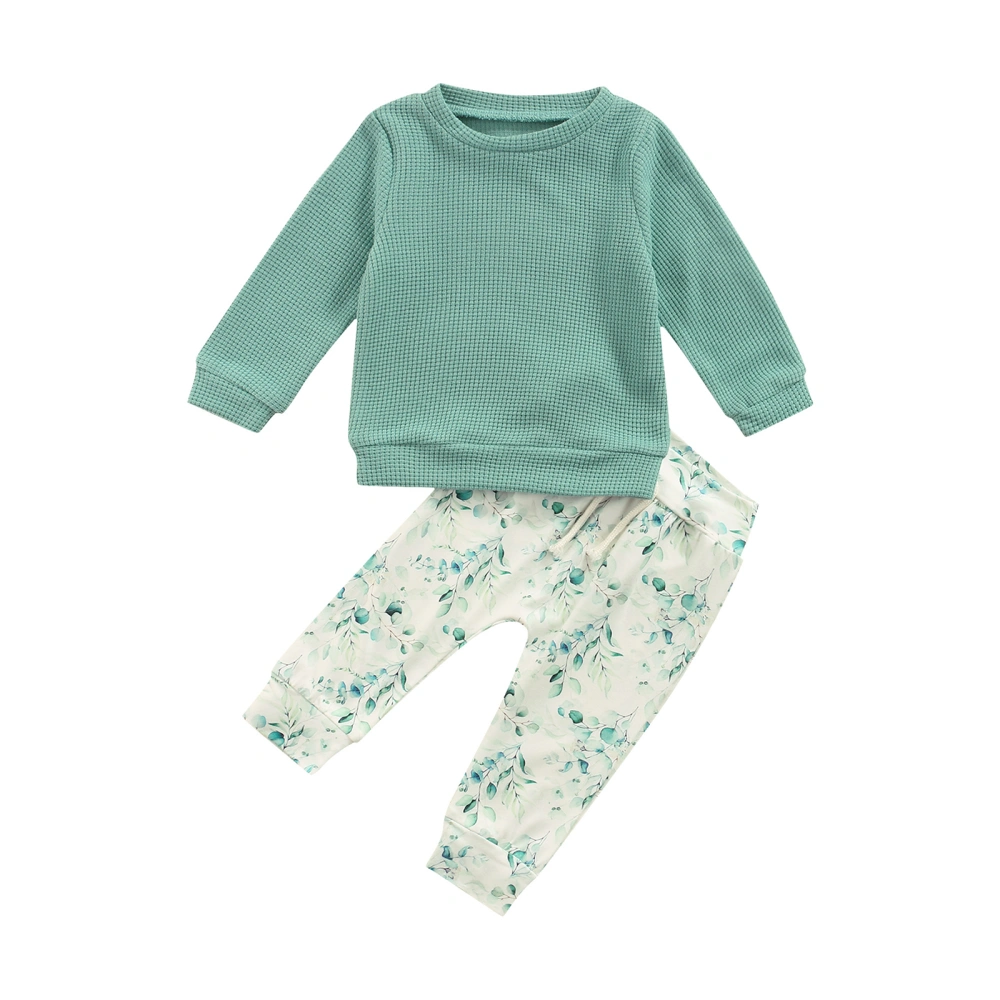 Solid Color Long Sleeve Round Neck Sweatshirt + Plant Print Pants