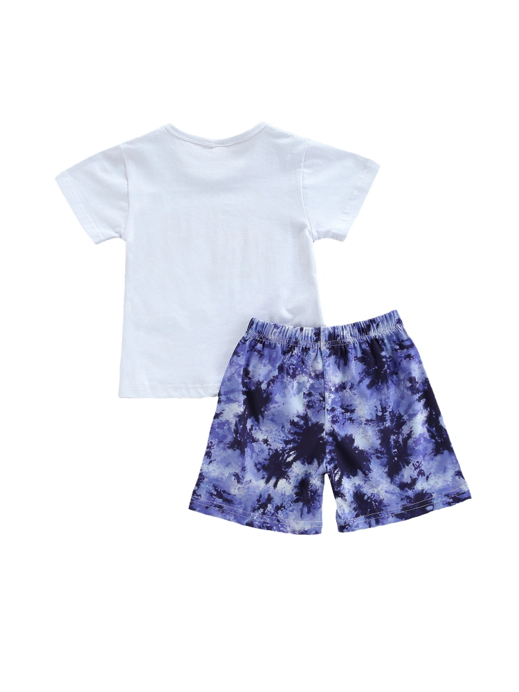 Boys Casual Clothes Set, Short Sleeve Round Collar Tops and Shorts