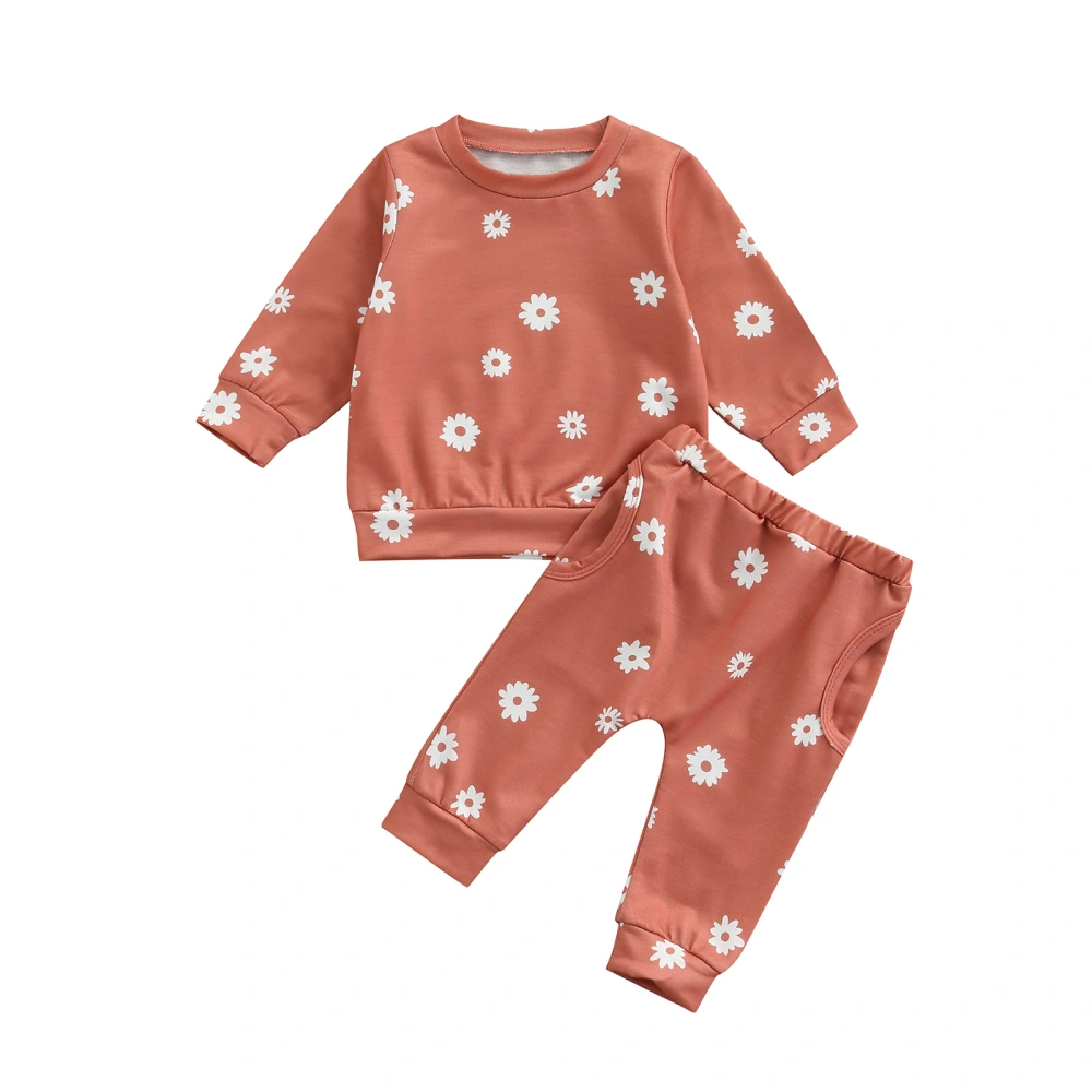 Baby Girls Pants Set, Long Sleeve Flower Print Tops with Long Pants