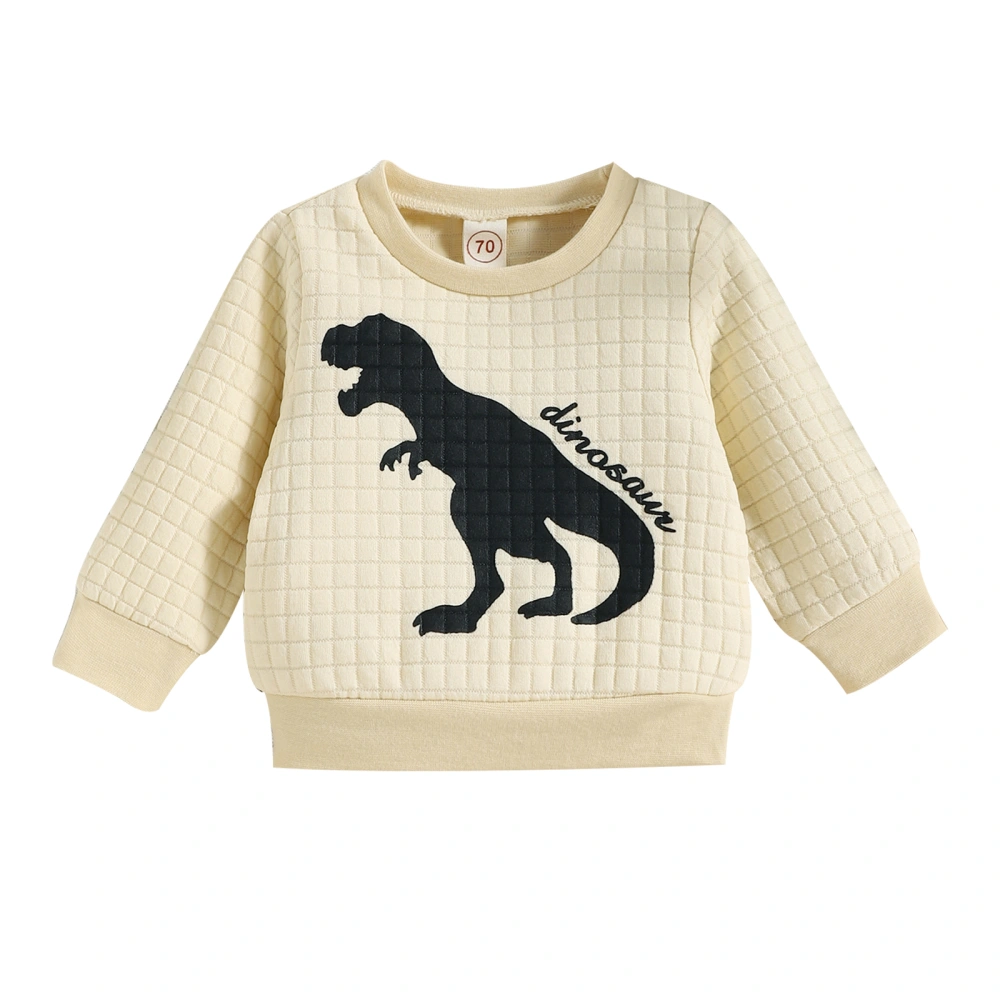 Baby Spring Sweatshirt, Long Sleeve Dinosaur Waffle Crew Neck Pullover